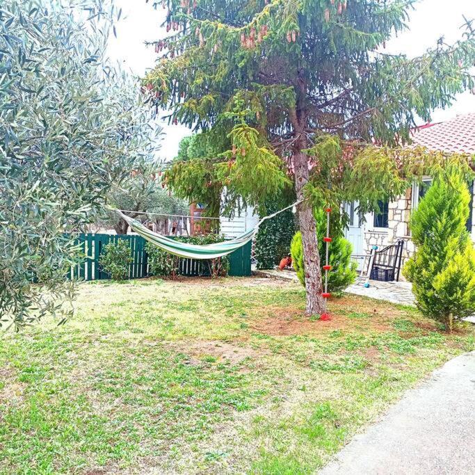 Πετρινη Κατοικια Στην Φυση Villa Tagarades Exterior photo